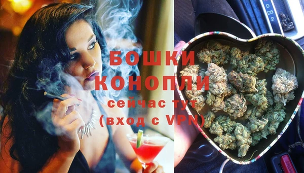 a pvp Богданович