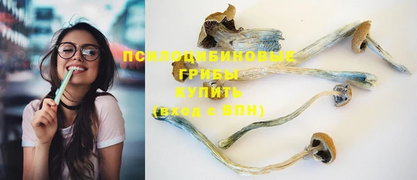 a pvp Богданович