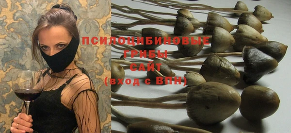 a pvp Богданович